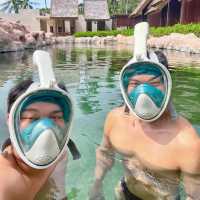 swim reef สระว่ายน้ำปะการังที่ใหญ่ที่สุดในอาเซียน