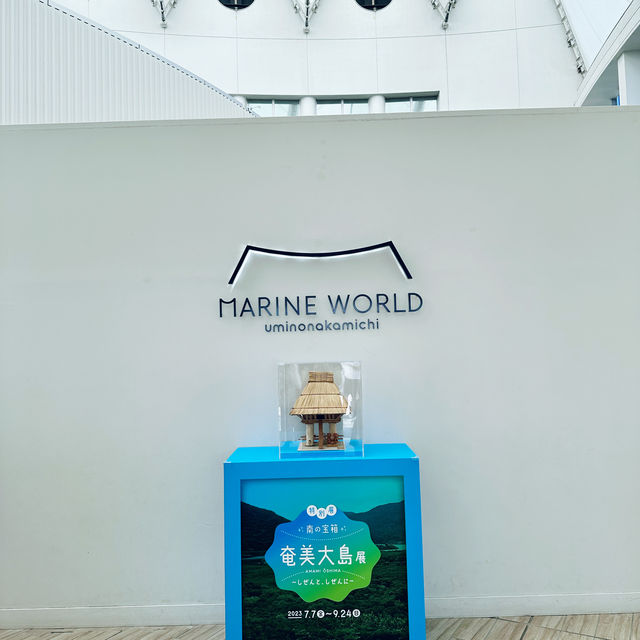 【福岡】マリンワールド海の中道