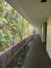 열대나무 가득한 수영장이 아름다운 실로소 비치 리조트 센토사, 싱가포르 센토사섬 호텔 추천