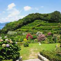 The outer island from Geoje, Oedo Botania