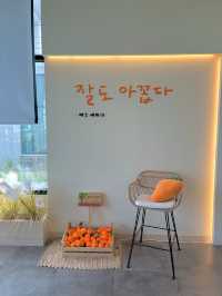 판포포구 근처 제주 감성 가득한 귤당리