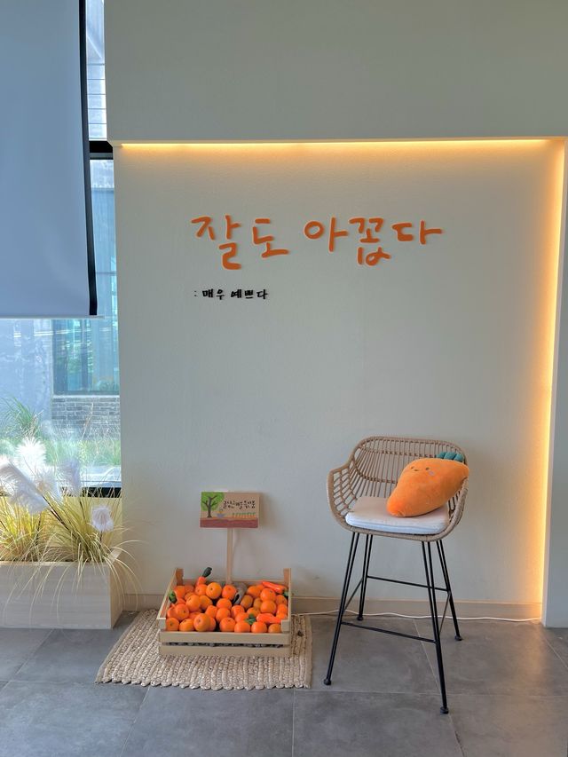 판포포구 근처 제주 감성 가득한 귤당리