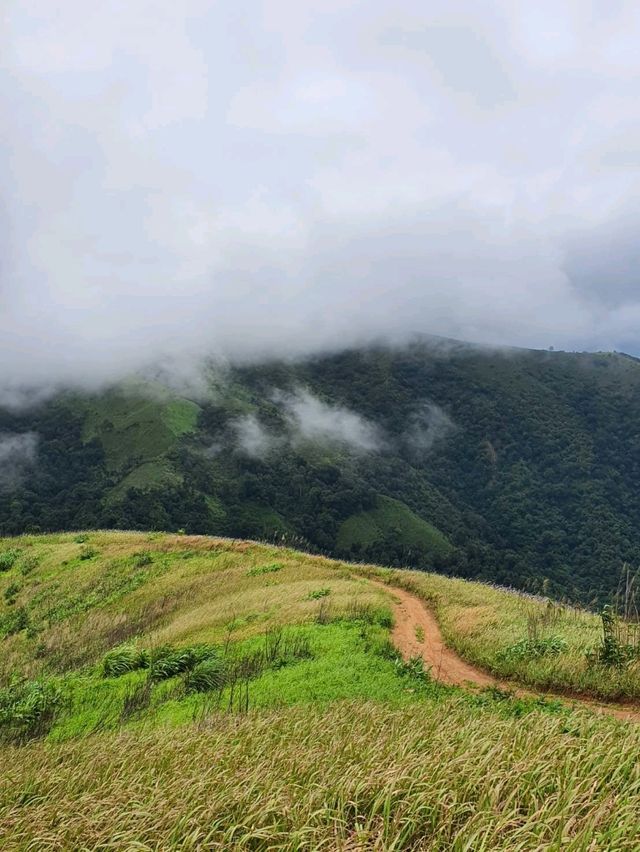 พาเดินเทรล"ดอยลับ" อุทยานแห่งชาติดอยสอยมาลัย