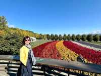 Tomita Farm in Furano