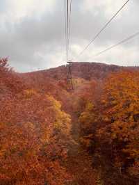 Zao ropeway ใน Autumn vibe 🍂