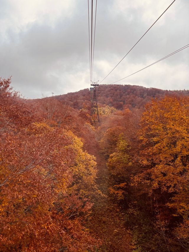 Zao ropeway ใน Autumn vibe 🍂