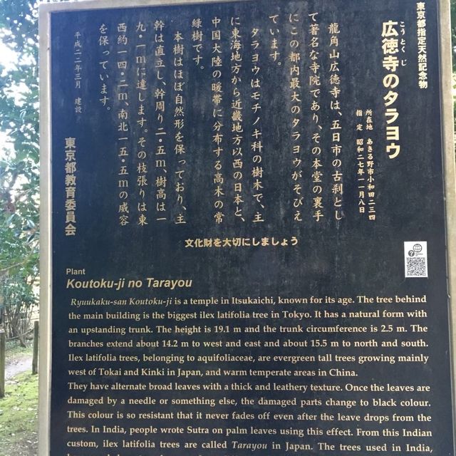 青梅方面に紅葉ドライブ