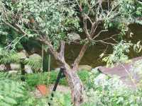 โรงแรมพราวภูฟ้า สาขาในเมืองเชียงใหม่