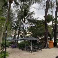 Hard Rock hotel