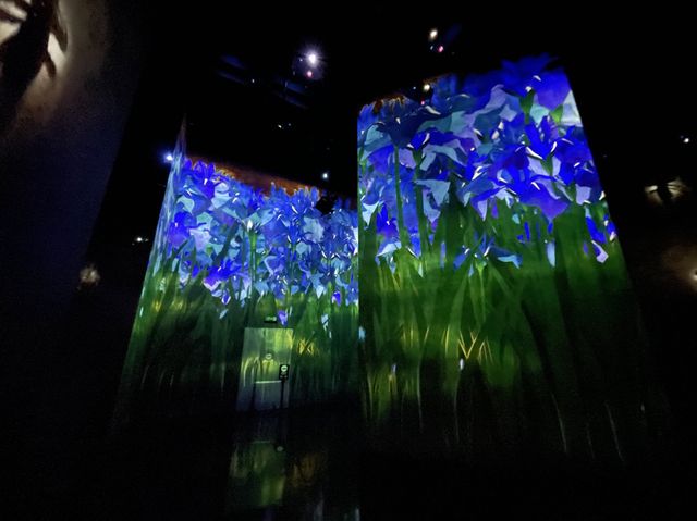 TeamLab SuperNature Digital Art @Macao