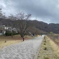 富士山麓區訪河口湖