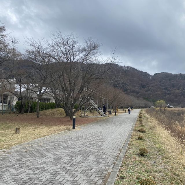 富士山麓區訪河口湖