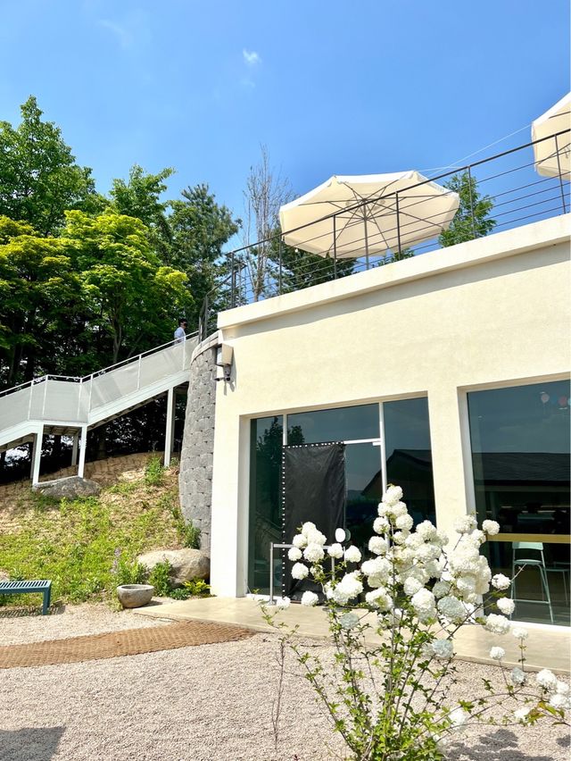 리버뷰가 한눈에 보이는 예쁜 양평카페☕️