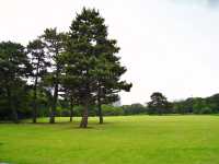 Imperial palace gardens