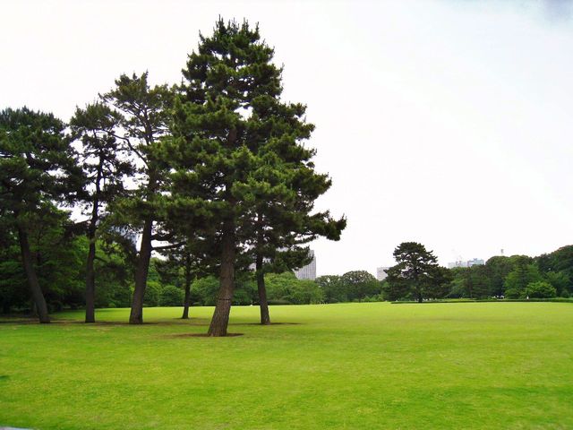 Imperial palace gardens