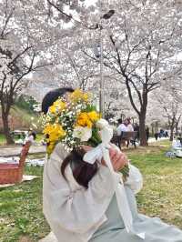 봄꽃놀이는 용산가족공원에서💫💛🌸