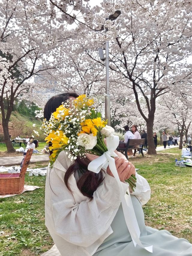 봄꽃놀이는 용산가족공원에서💫💛🌸