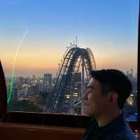 도쿄 도심 속 테마파크, 번개처럼 질주하는 롤러코스터가 있는 곳⚡️🐬