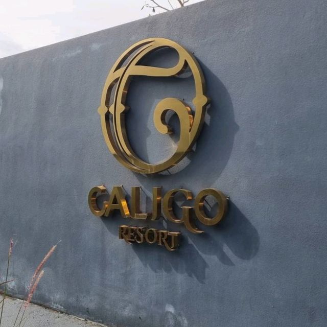 Caligo Resort สุราษฎร์ธานี 