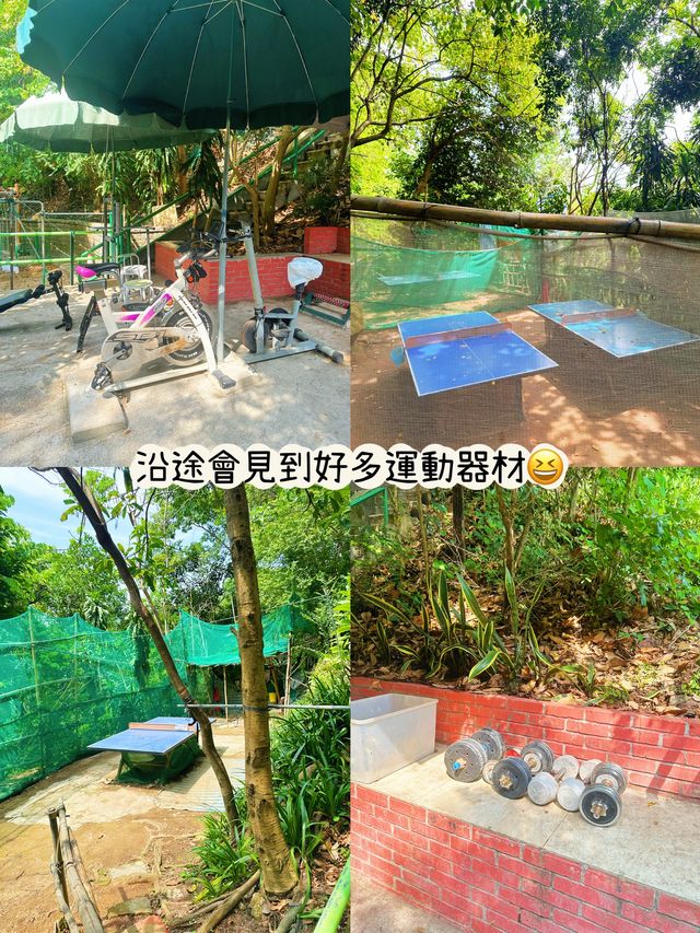 ⭐️1904年主教山仿羅馬設計配水庫🤩