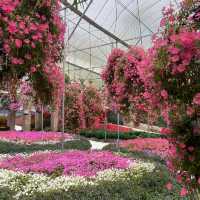 Floral Park: A Floral Fantasia in Cameron