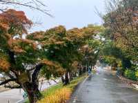 ปราสาทโอคะซะกิ (Okazaki Castle)🏯