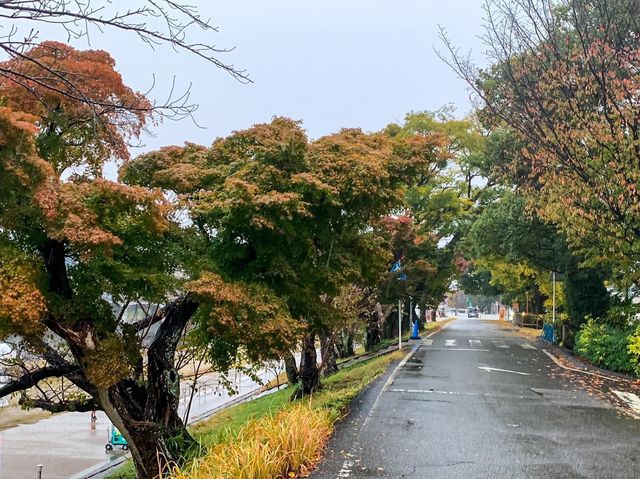 ปราสาทโอคะซะกิ (Okazaki Castle)🏯