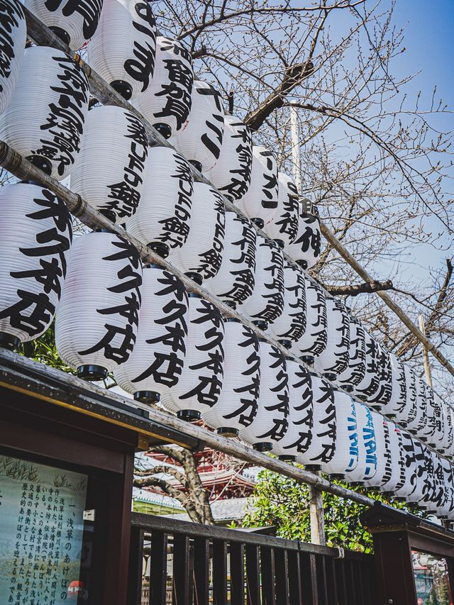 【東京】日本で最も有名なお寺　浅草寺