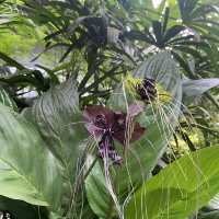 Entopia: Nature's Captivating Haven