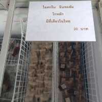 โกหลัก สวนอินทผาลัม สำหรับสาวกอินทผาลัมเลิฟเวอร์