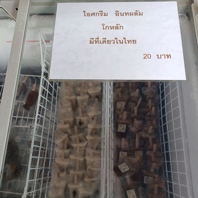 โกหลัก สวนอินทผาลัม สำหรับสาวกอินทผาลัมเลิฟเวอร์