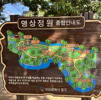 대전의 스위스 🇨🇭명상정원 왕따나무