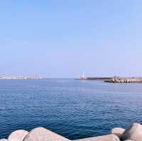 🌊 바닷가 앞 활기찬 전원의 풍경, 아바이 순대로 유명한 속초 아바이마을 