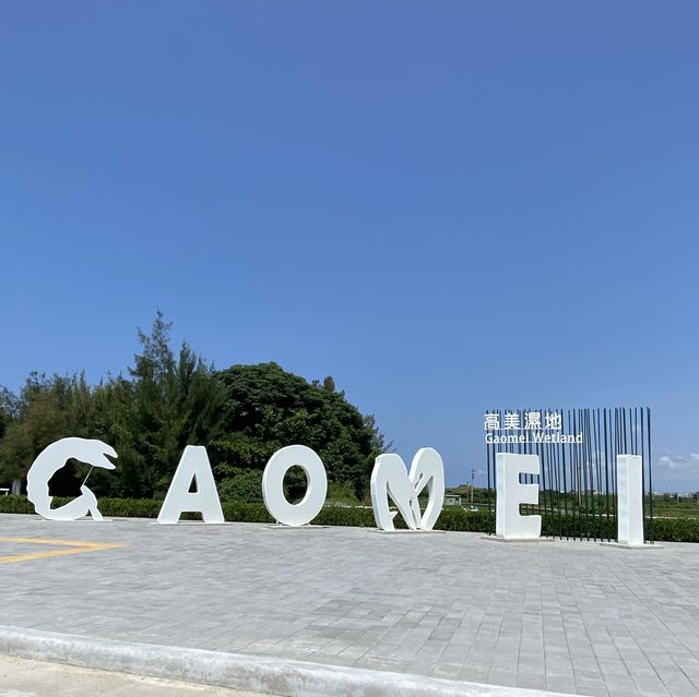 高美濕地☀️