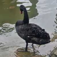 悠閒嘅珠海海濱公園