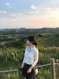 제주 노을맛집 용눈이오름🌳⛰️