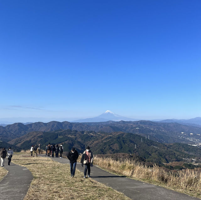 伊豆に行くならココ！富士山絶景スポット