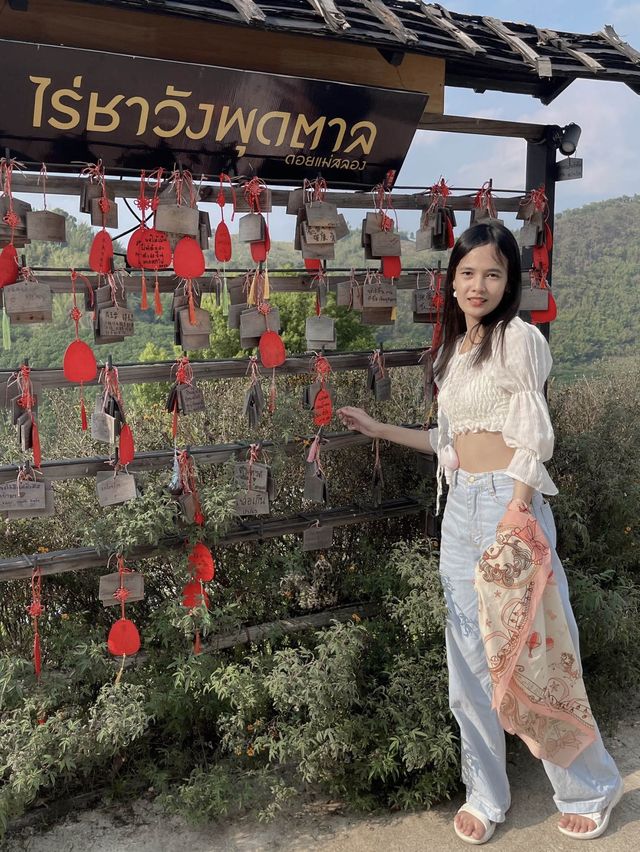 ไร่ชาวังพุดตาล บรรยากาศดีแบบ100% ⛩️🌱🍃
