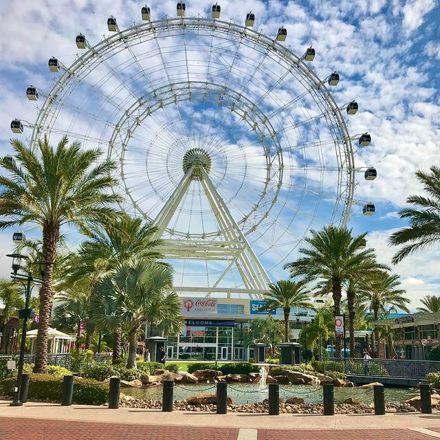 Stunning views : The Orlando Eye