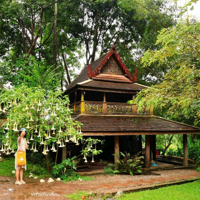 วัดผาลาด วัดสวยกลางป่า จ.เชียงใหม่