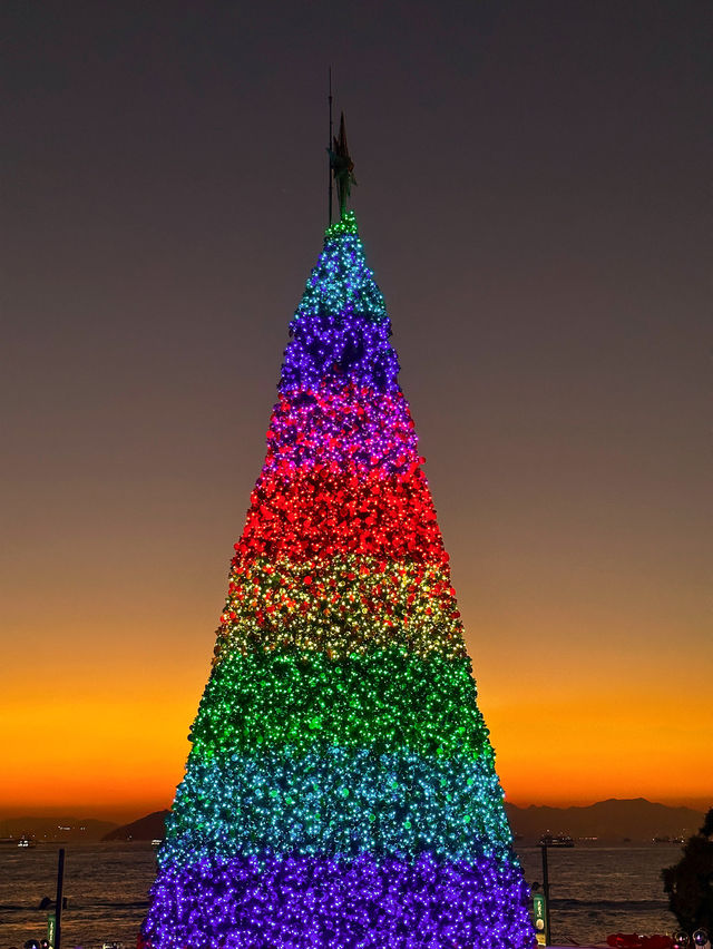 香港｜西九龍的海邊聖誕樹🎄與日落有點搭