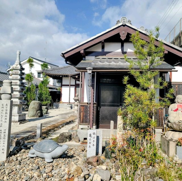 일본여행 교토 아라시야마 산책 