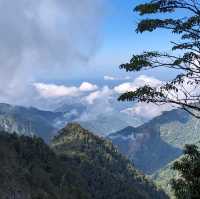 大雪山國家森林遊樂區的美好享受