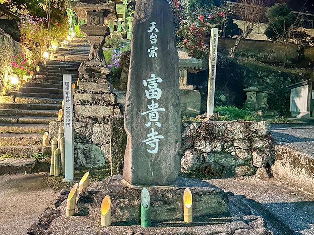 紅葉のライトアップ🍁