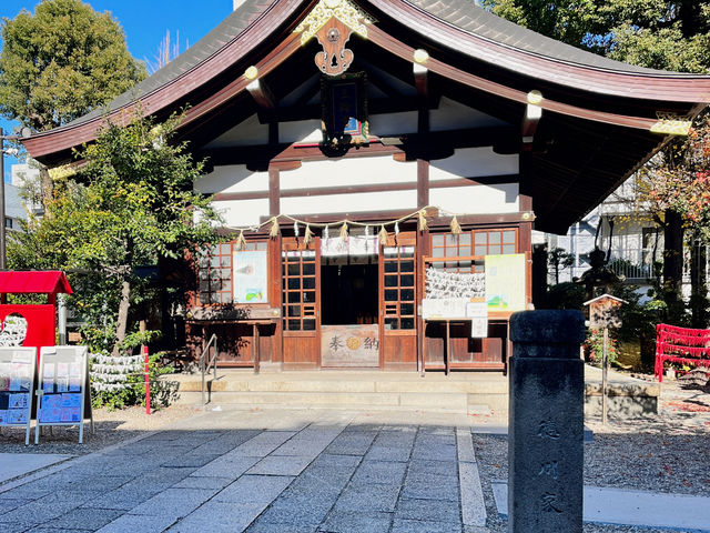 名古屋 帶來幸運的兔兔神社⛩️