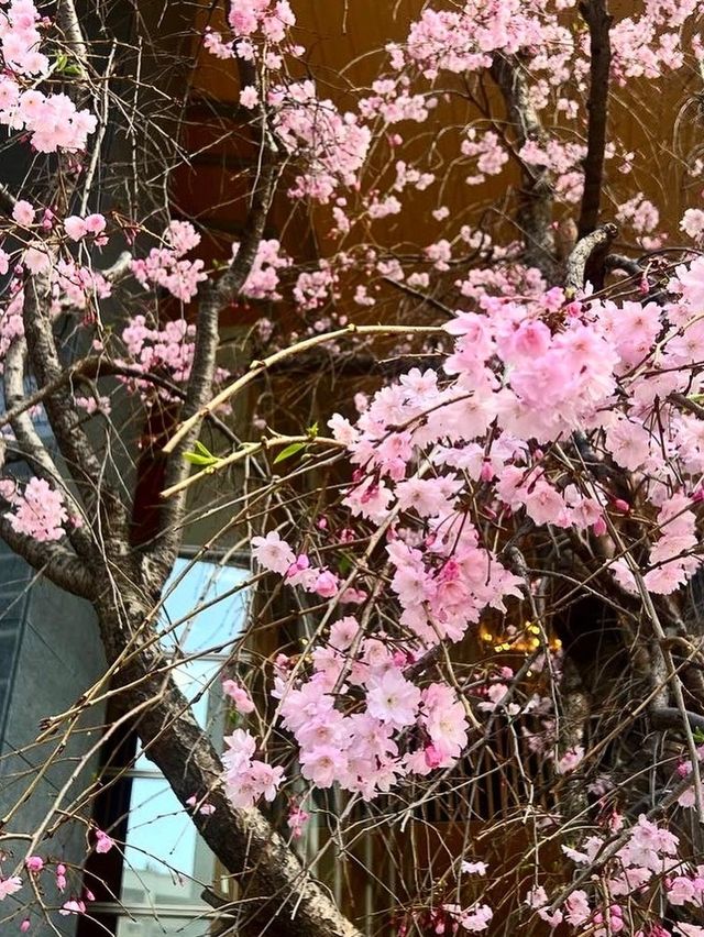 【福岡カフェ】吹き抜けの天井が開放的な病院内にある素敵カフェ