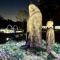 A magical tour for muggles