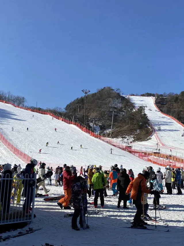 서울 수도권에서 가까운 강촌 엘리시안 스키장❄️