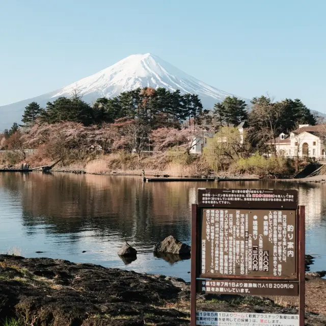 Oike Park Kawaguchiko