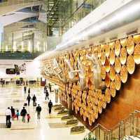 Indira Gandhi International Airport Delhi 